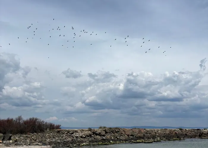 Desis Seaside Hideaway 公寓 帕莫瑞