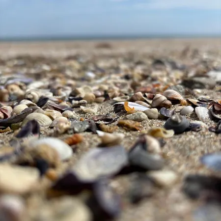 Desis Seaside Hideaway *