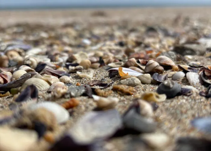 Desis Seaside Hideaway *